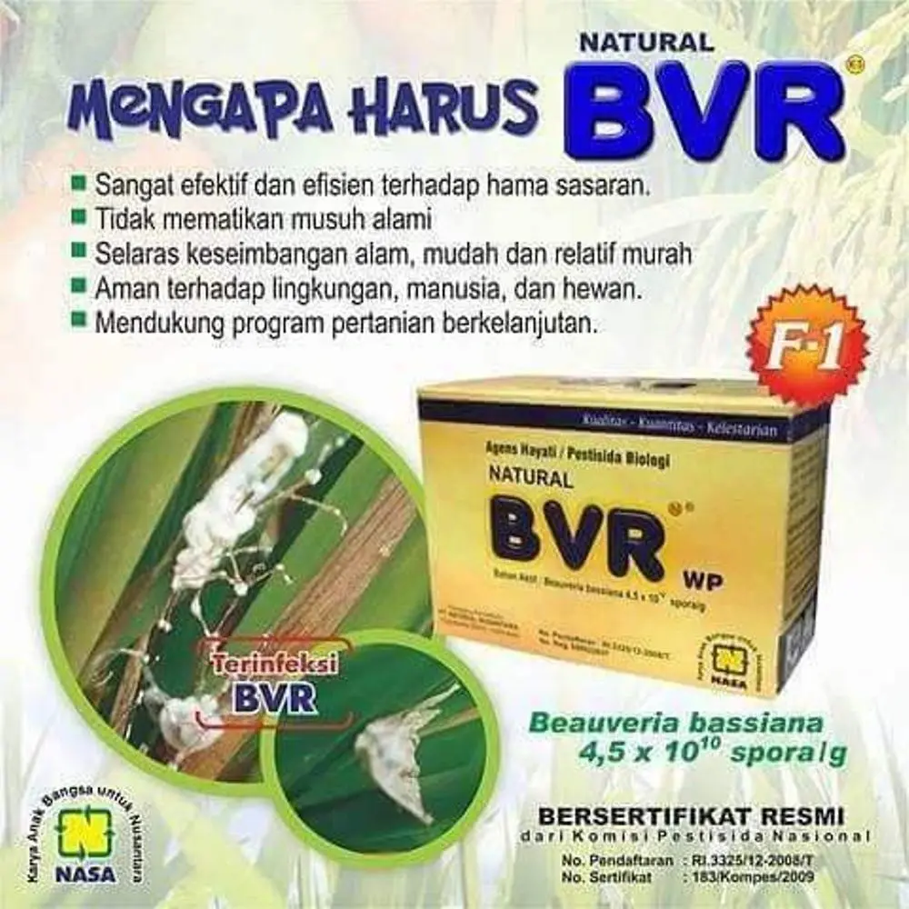 Mengapa Harus BVR NASA