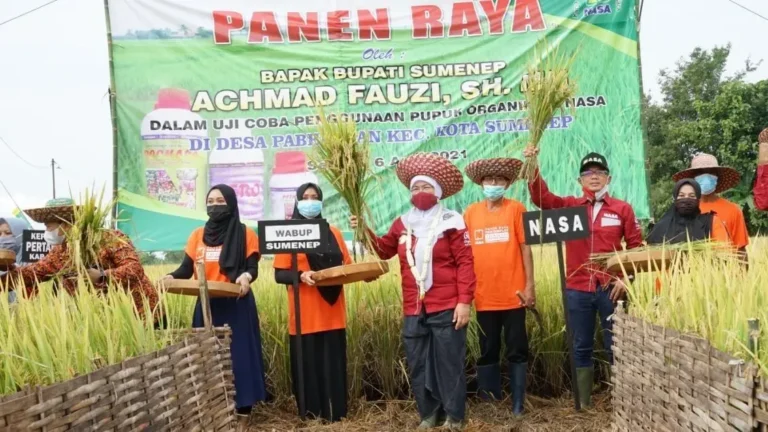 Padi Pakai Pupuk Organik Nasa, Sumenep Panen Raya