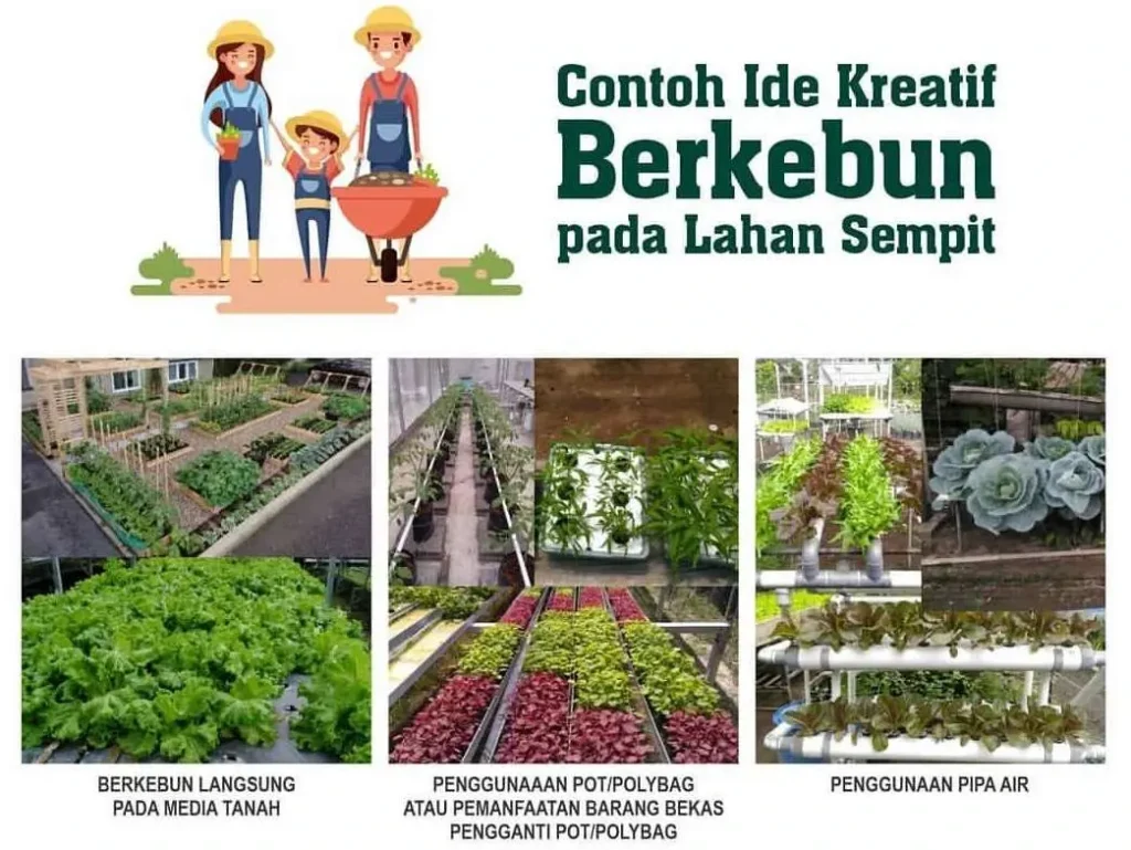 Ide Kreatif Berkebun Rumahan