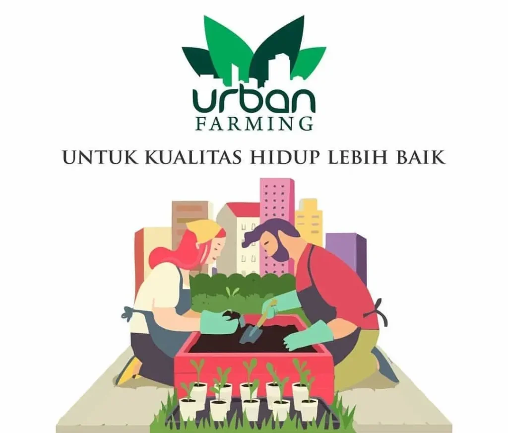 Urban Farming Nasa Berkualitas