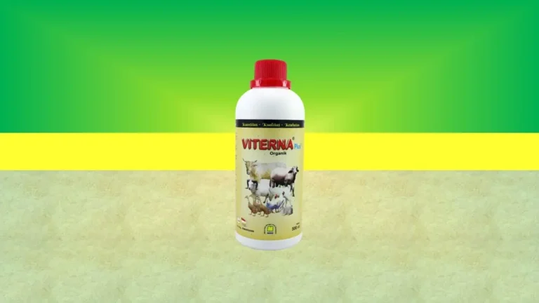 Viterna Vitamin Ternak