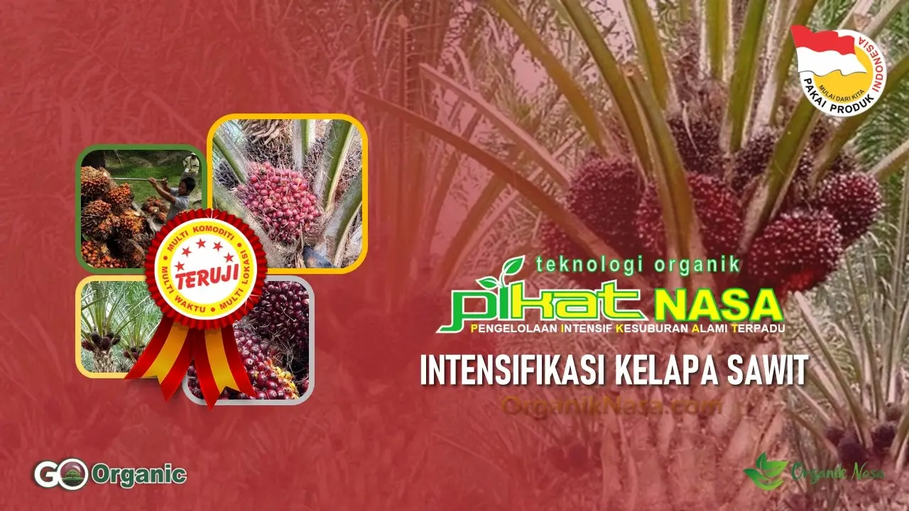 Teknologi PIKAT NASA Kelapa Sawit