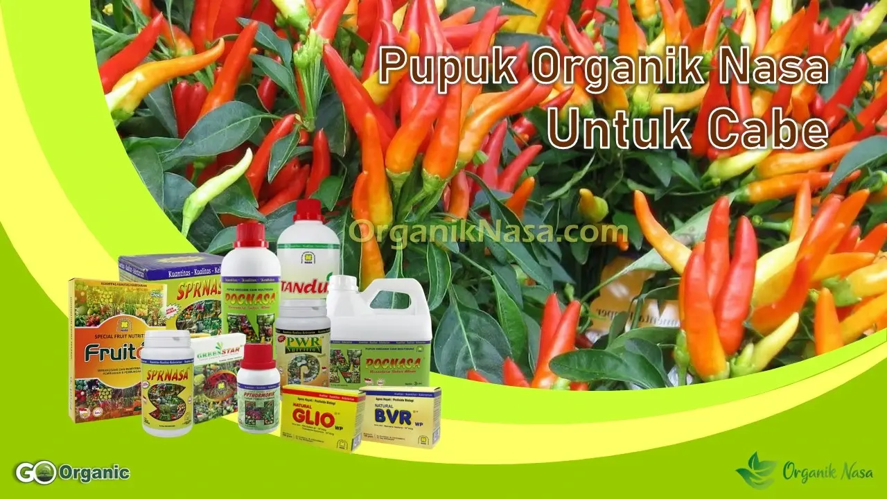 Paket Pupuk Nasa Untuk Cabe