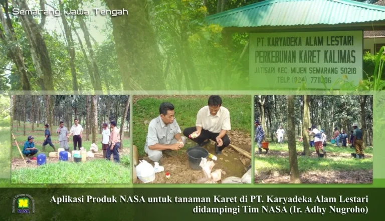 Aplikasi Produk Nasa untuk Karet Semarang